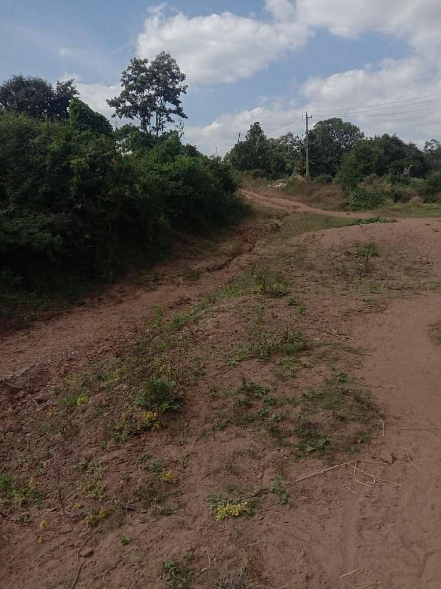 ಖಾನಾಪುರ ತಾಲ್ಲೂಕಿನ ಮಾಸ್ಕೇನಹಟ್ಟಿ ರಸ್ತೆ ಕೊರಕಲುಗಳಿಂದ ಕೂಡಿದೆ