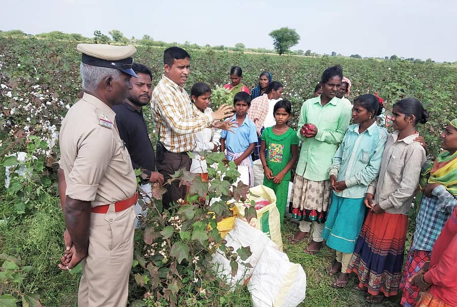 ಗುರುಮಠಕಲ್ ತಾಲ್ಲೂಕಿನ ಮತ್ತು ಸೈದಾಪುರ ವ್ಯಾಪ್ತಿಯಲ್ಲಿ ಹತ್ತಿ ಬಿಡಿಸುತ್ತಿದ್ದ ಶಾಲಾ ಮಕ್ಕಳ ಬಗ್ಗೆ ಅಧಿಕಾರಿಗಳು ವರದಿ ಪಡೆದರು