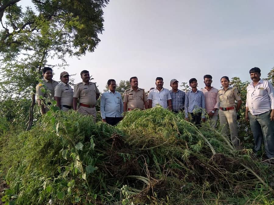 ಸುರಪುರ ತಾಲ್ಲೂಕಿನಲ್ಲಿ ಬುಧವಾರ ಅಬಕಾರಿ ಅಧಿಕಾರಿಗಳು ₹5.40 ಲಕ್ಷ ಮೌಲ್ಯದ ಗಾಂಜಾ ವಶಪಡಿಸಿಕೊಂಡರು