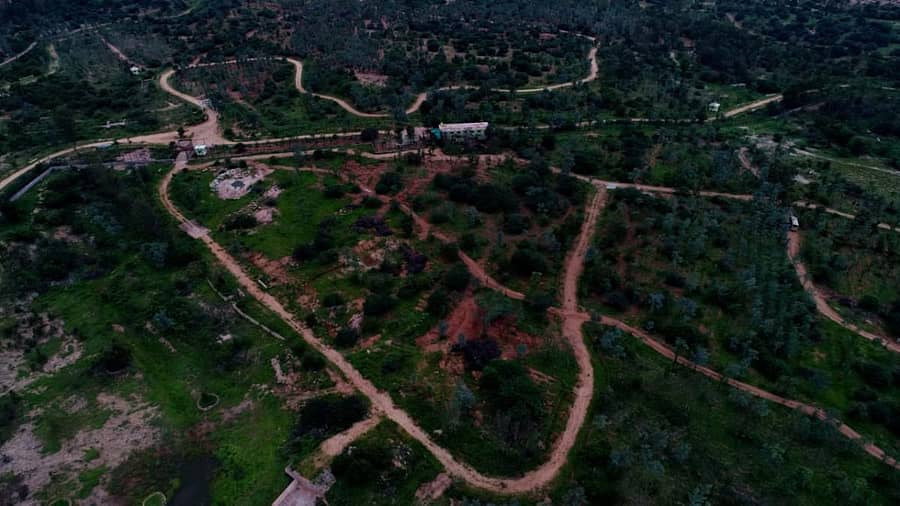 ಡ್ರೋನ್ ಕ್ಯಾಮೆರಾದಲ್ಲಿ ಸೆರೆಹಿಡಿದ ಅಟಲ್ ಬಿಹಾರಿ ವಾಜಪೇಯಿ ಜೈವಿಕ ಉದ್ಯಾನದ ನೋಟ. ಉದ್ಯಾನದ ಕಚ್ಚಾ ರಸ್ತೆಯಲ್ಲಿ ಭಾರತದ ನಕಾಶೆ ಮೂಡಿರುವುದುಚಿತ್ರ: ರಾಚಯ್ಯ ಎಸ್. ಸ್ಥಾವರಿಮಠ