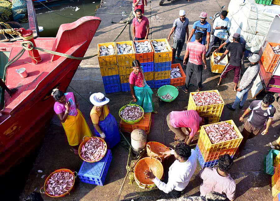 ಮಂಗಳೂರು ಮೀನು ಮಾರುಕಟ್ಟೆ