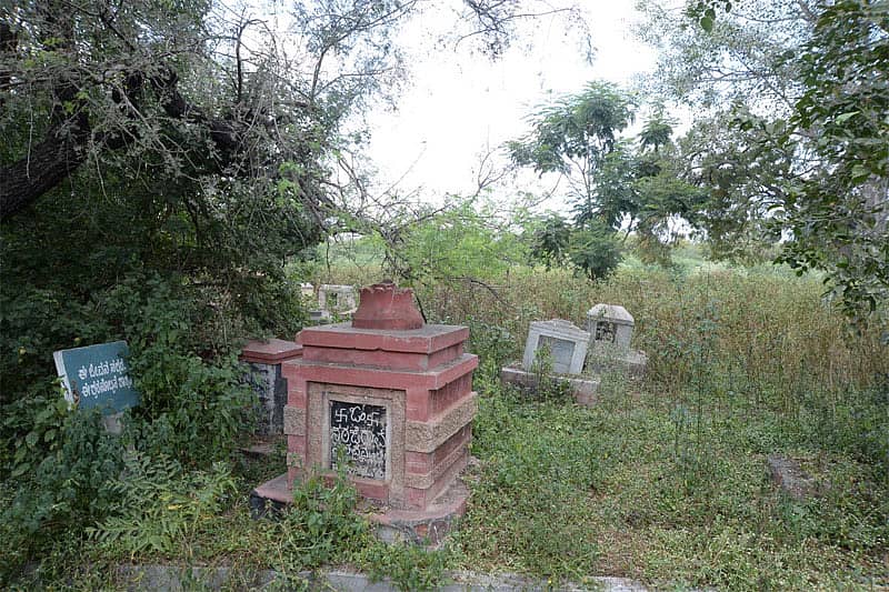 ಗಾಂಧಿನಗರದ ಸ್ಮಶಾನದಲ್ಲಿ ಬೆಳೆದಿರುವ ಕಳೆಗಿಡಗಳು ಮತ್ತುಬಳ್ಳಾರಿ ಜಾಲಿ. ಚಿತ್ರ: ಸತೀಶ ಬಡಿಗೇರ್