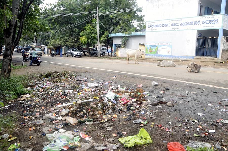 ರಸ್ತೆ ಬದಿಯಲ್ಲಿ ಕಸದ ರಾಶಿ, ರಸ್ತೆಯಲ್ಲಿ ಬಿಡಾಡಿ ದನಗಳ ಹಾವಳಿ