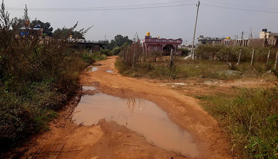 ಎಚ್.ಡಿ.ಕೋಟೆ ಪಟ್ಟಣದ 12ನೇ ವಾರ್ಡ್‌ನ ರಸ್ತೆಯಲ್ಲಿ ಕೊಳಚೆ ನೀರು ಸಂಗ್ರಹಗೊಂಡಿದೆ (ಎಡಚಿತ್ರ). ವಾರ್ಡ್‌ನ ರಸ್ತೆ ಹಾಗೂ ಅದರ ಸುತ್ತಲೂ ಗಿಡಗಳು ಬೆಳೆದಿವೆ