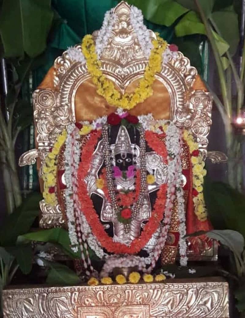 ಪುನರ್ ಪ್ರತಿಷ್ಠಾಪನೆ ಮಾಡಿರುವ ದೇವರ ಮೂರ್ತಿ