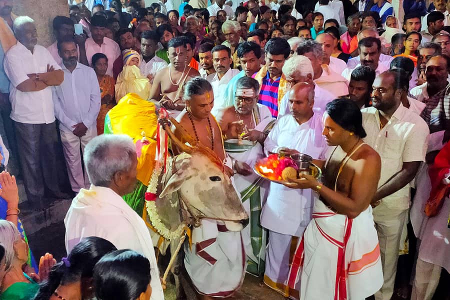 ಚಿಂತಾಮಣಿ ತಾಲ್ಲೂಕಿನ ಆಲಂಬಗಿರಿಯ ಲಕ್ಷ್ಮಿವೆಂಕಟರಮಣಸ್ವಾಮಿ ದೇವಾಲಯದಲ್ಲಿ ಸೋಮವಾರ ಗೋಪೂಜೆ ನಡೆಯಿತು