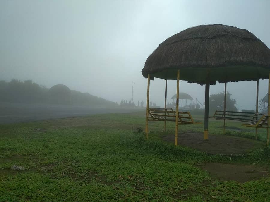 ಚಿತ್ರ: ಲೇಖಕರದ್ದು