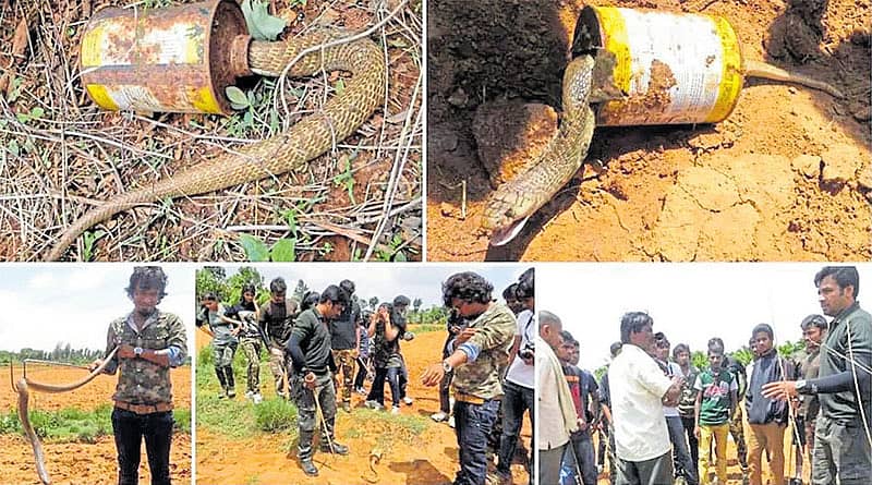 ಉರಗ ಸಂರಕ್ಷಣೆಯ ತಂಡ