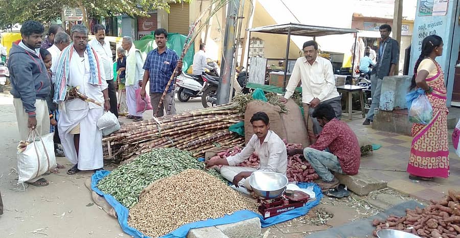 ನಗರದ ಬಜಾರ್ ರಸ್ತೆಯಲ್ಲಿ ಜನರು ಹಬ್ಬಕ್ಕಾಗಿ ಕಬ್ಬು, ಅವರೆಕಾಯಿ ಖರೀದಿಸಿದರು.