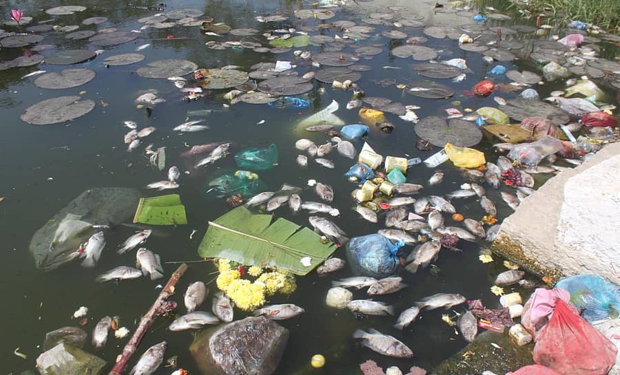 ಕೋಲಾರದ ವೇಣುಗೋಪಾಲಸ್ವಾಮಿ ಪುಷ್ಕರಣಿಯಲ್ಲಿ ಸೋಮವಾರ ಮೀನುಗಳು ಸತ್ತು ನೀರಿನ ಮೇಲೆ ತೇಲುತ್ತಿದ್ದ ದೃಶ್ಯ.