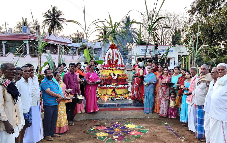 ದೊಡ್ಡಬಳ್ಳಾಪುರ ತಾಲ್ಲೂಕಿನ ಕೆಸ್ತೂರು ಗ್ರಾಮದಲ್ಲಿ ಸಂಕ್ರಾಂತಿ ಅಂಗವಾಗಿ ಗ್ರಾಮಸ್ಥರು ಕಾಟಿಮರಾಯಸ್ವಾಮಿಗೆ ಪೂಜೆ ಸಲ್ಲಿಸಿ ಪಾರಂಪರಿಕ ಆಚರಣೆ ನೆರವೇರಿಸಿದರು