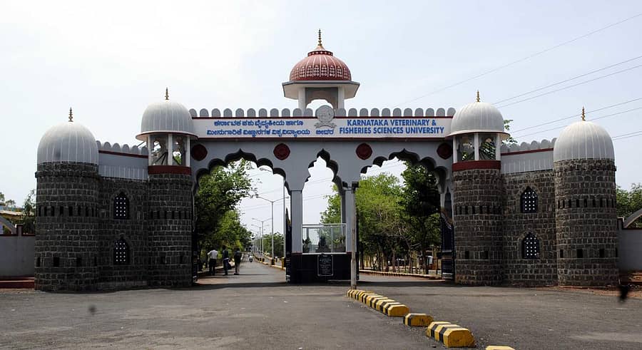 ಬೀದರ್ನ ಕರ್ನಾಟಕ ಪಶು ವೈದ್ಯಕೀಯ, ಪಶು ಹಾಗೂ ಮೀನುಗಾರಿಕೆ ವಿಜ್ಞಾನಗಳ ವಿಶ್ವವಿದ್ಯಾಲಯ