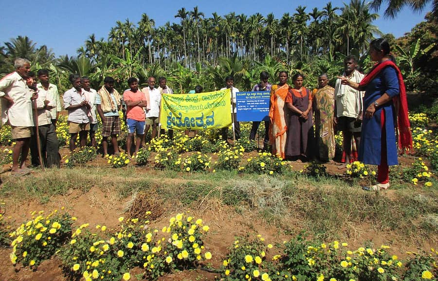 ಮಾಗಡಿ ತಾಲ್ಲೂಕಿನ ಕಾಳಾರಿಯಲ್ಲಿ ನಡೆದ ಸೇವಂತಿಗೆ ಬೆಳೆನಿರ್ವಹಣೆ ಕ್ಷೇತ್ರೋತ್ಸದಲ್ಲಿ ವಿಜ್ಞಾನಿ ಪ್ರೀತು.ಡಿ.ಸಿ.ಪ್ರಾತ್ಯಾಕ್ಷಿಕೆ ನಡೆಸಿಕೊಟ್ಟರು