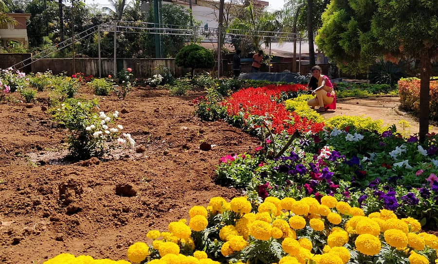 ಫಲಪುಷ್ಪ ಪ್ರದರ್ಶನಕ್ಕೆ ಶೃಂಗಾರಗೊಂಡಿರುವ ತೋಟಗಾರಿಕಾ ಇಲಾಖೆ ಆವರಣ