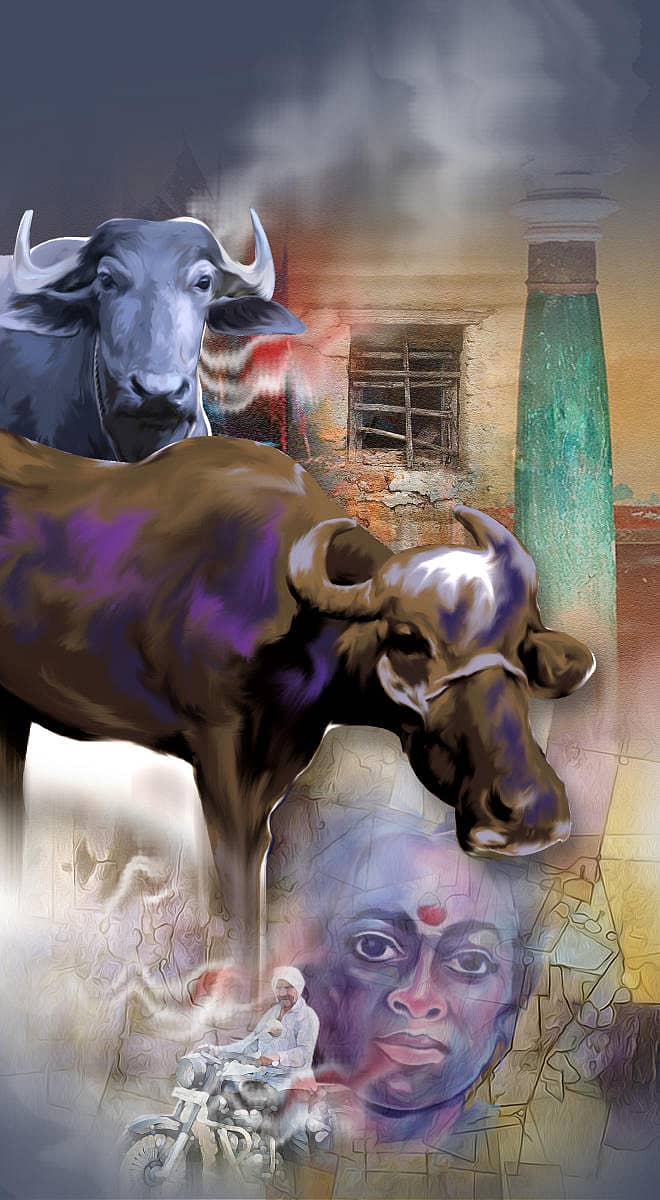 ಎಮ್ಮಾಯಣ