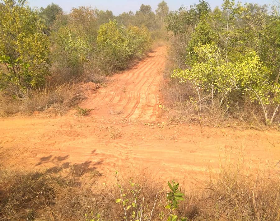 ಪ್ಲೆಸ್ ಆಕಾರದಲ್ಲಿ ನಿರ್ಮಾಣ ಮಾಡಿರುವ ಬೆಂಕಿ ರೇಖೆ
