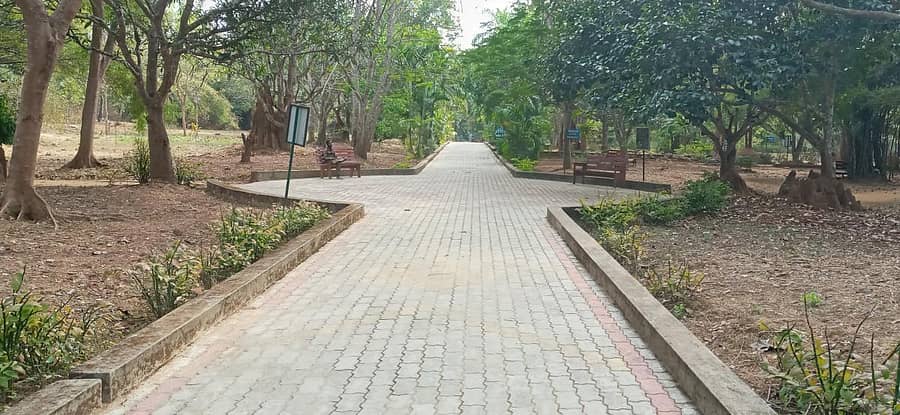 ಮುಂಡಗೋಡ ತಾಲ್ಲೂಕಿನ ಅತ್ತಿವೇರಿ ಪಕ್ಷಿಧಾಮದ ಉದ್ಯಾನ