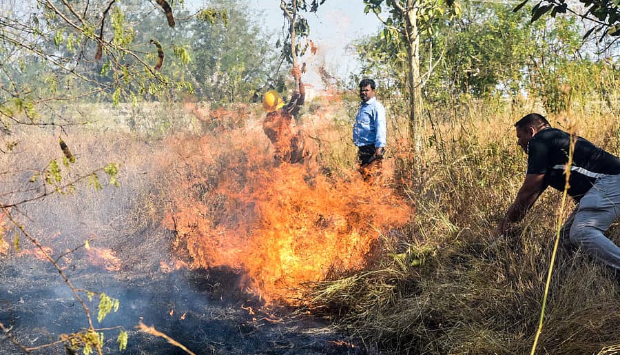 ಮೈಸೂರಿನ ಹೃದಯಭಾಗವಾದ ಗ್ರಾಮಾಂತರ ಬಸ್ನಿಲ್ದಾಣದ ಸಮೀಪ ಇರುವ ಸರ್ಕಾರಿ ಅತಿಥಿ ಗೃಹದ ಆವರಣದಲ್ಲಿ ಸೋಮವಾರ ಕಾಣಿಸಿಕೊಂಡ ಬೆಂಕಿಗೆ ಸುಮಾರು 2 ಎಕರೆಯಷ್ಟು ಪ್ರದೇಶದ ಉದ್ಯಾನ ಭಸ್ಮವಾಯಿತು. 3 ಅಗ್ನಿಶಾಮಕ ವಾಹನಗಳಲ್ಲಿ ಬಂದ ಅಗ್ನಿಶಾಮಕ ಪಡೆ ಬೆಂಕಿಯು ಅಕ್ಕಪಕ್ಕದ ಕಟ್ಟಡಗಳಿಗೆ ವ್ಯಾಪಿಸುವುದನ್ನು ತಡೆದರು. ಚಿತ್ರಗಳು– ಬಿ.ಆರ್.ಸವಿತಾ