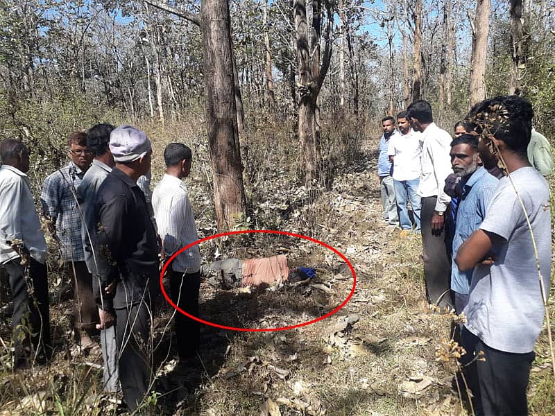 ಕಾಡಾನೆ ದಾಳಿಗೆ ಬಲಿಯಾದ ಕಾಫಿ ಬೆಳೆಗಾರ