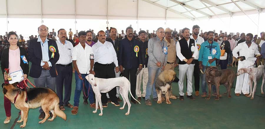 ರಾಜ್ಯಮಟ್ಟದ ಪಶು ಮೇಳದ ಪ್ರಯುಕ್ತ ಬೀದರ್ ತಾಲ್ಲೂಕಿನ ಕಮಠಾಣ ಹತ್ತಿರದ ಕರ್ನಾಟಕ ಪಶು ವೈದ್ಯಕೀಯ ವಿಶ್ವವಿದ್ಯಾಲಯದ ಆವರಣದಲ್ಲಿ ಭಾನುವಾರ ನಡೆದ ಶ್ವಾನ ಪ್ರದರ್ಶನದಲ್ಲಿ ವಿಜೇತ ಶ್ವಾನಗಳು