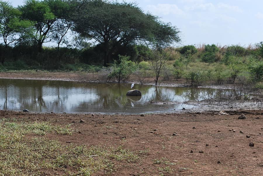 ನವಲೂರು ಕುಂಟೆ–1ಚಿತ್ರಗಳು: ಆರ್. ಮಂಜುನಾಥ್‌