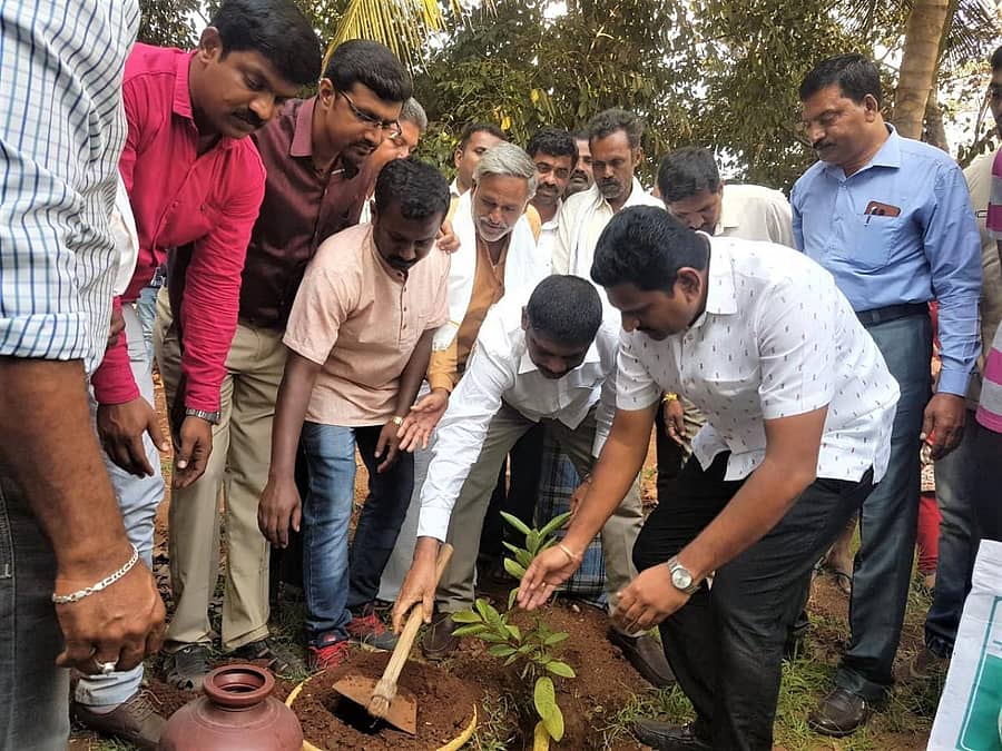 ವನಮಹೋತ್ಸವ ಕಾರ್ಯಕ್ರಮದಲ್ಲಿ ಸಂಸದ ಡಿ.ಕೆ.ಸುರೇಶ್‌ ಸಸಿ ನೆಟ್ಟರು
