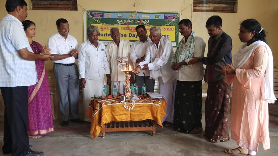 ಕೃಷಿ ಇಲಾಖೆಯಿಂದ ದಾವಣಗೆರೆ ತಾಲ್ಲೂಕಿನ ಕಾಡಜ್ಜಿ ಗ್ರಾಮದಲ್ಲಿ ಸೋಮವಾರ ಅಂತರರಾಷ್ಟ್ರೀಯ ದ್ವಿದಳ ಧಾನ್ಯ ದಿನ ಆಚರಿಸಲಾಯಿತು