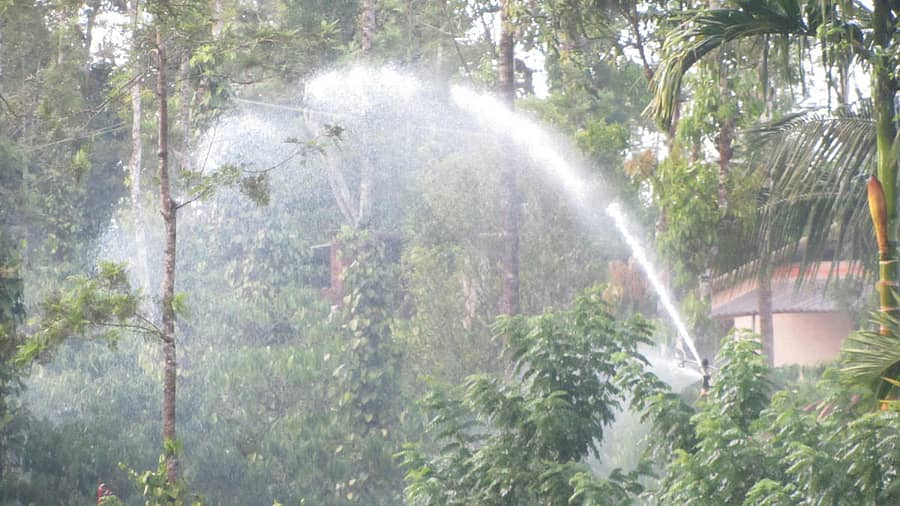 ನಾಪೋಕ್ಲು ಸಮೀಪದ ಬೇತು ಗ್ರಾಮದಲ್ಲಿ ಸೋಮವಾರ ತುಂತುರು ನೀರಾವರಿ ಮೂಲಕ ಕಾಫಿಯ ಹೂಗಳನ್ನು ಅರಳಿಸುವತ್ತ ಬೆಳೆಗಾರರು ತೊಡಗಿದ್ದರು