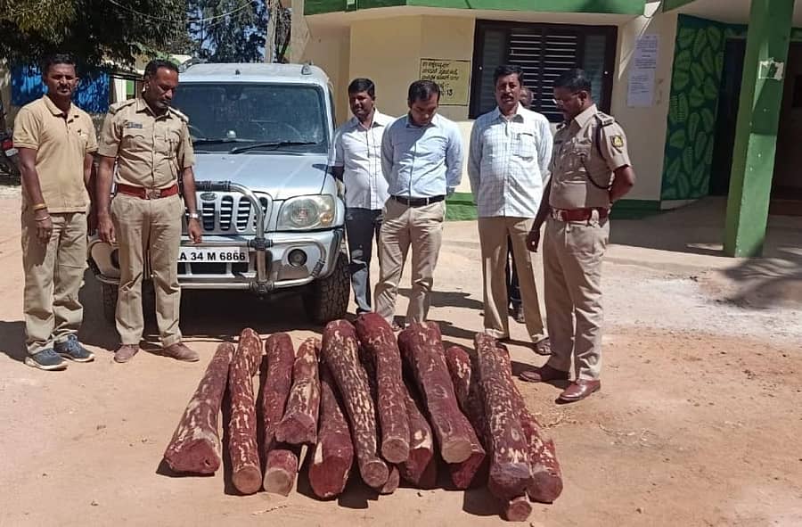 ಜಪ್ತಿ ಮಾಡಿದ ರಕ್ತಚಂದನವನ್ನು ಜಿಲ್ಲಾ ಅರಣ್ಯ ಸಂರಕ್ಷಣಾ ಅಧಿಕಾರಿ ಅರ್ಸಲನ್ ಪರಿಶೀಲಿಸಿದರು.