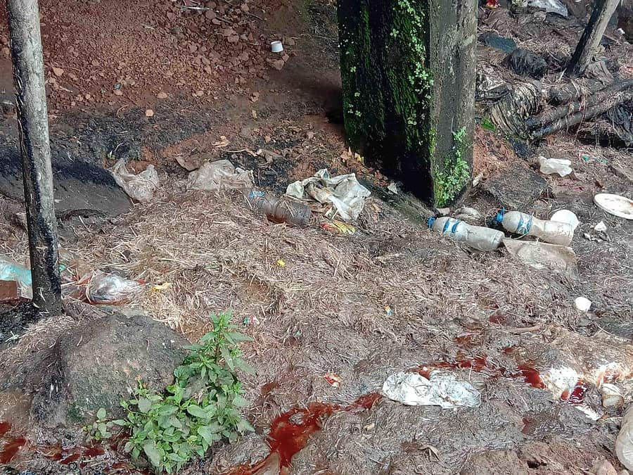 ಮಡಿಕೇರಿಯ ಮಹದೇವಪೇಟೆ ಸಂತೆ ಮಾರುಕಟ್ಟೆಯ ಮಾಂಸದ ಅಂಗಡಿಯ ಬಳಿಯ ದೃಶ್ಯ