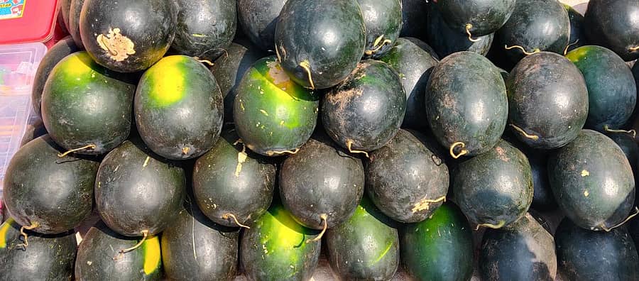 ಬಾಗಲಕೋಟೆಯ ನವನಗರದಲ್ಲಿ ಗುರುವಾರ ನಡೆದ ಮಾರುಕಟ್ಟೆಯಲ್ಲಿ ಮಾರಾಟಕ್ಕೆ ಇಡಲಾಗಿದ್ದ ಕಲ್ಲಂಗಡಿ