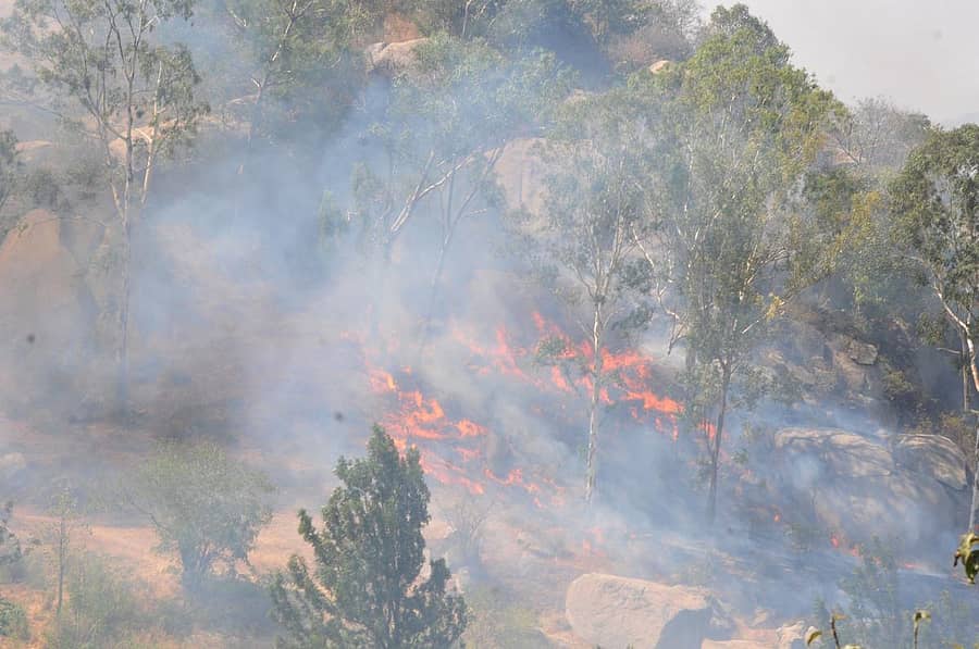 ದೇವರಾಯನದುರ್ಗದಲ್ಲಿ ಬೆಂಕಿ ಕಾಣಿಸಿಕೊಂಡಿತ್ತು.