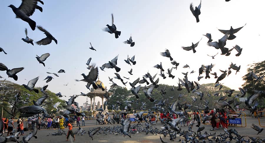 ಸಾಂದರ್ಭಿಕ ಚಿತ್ರ