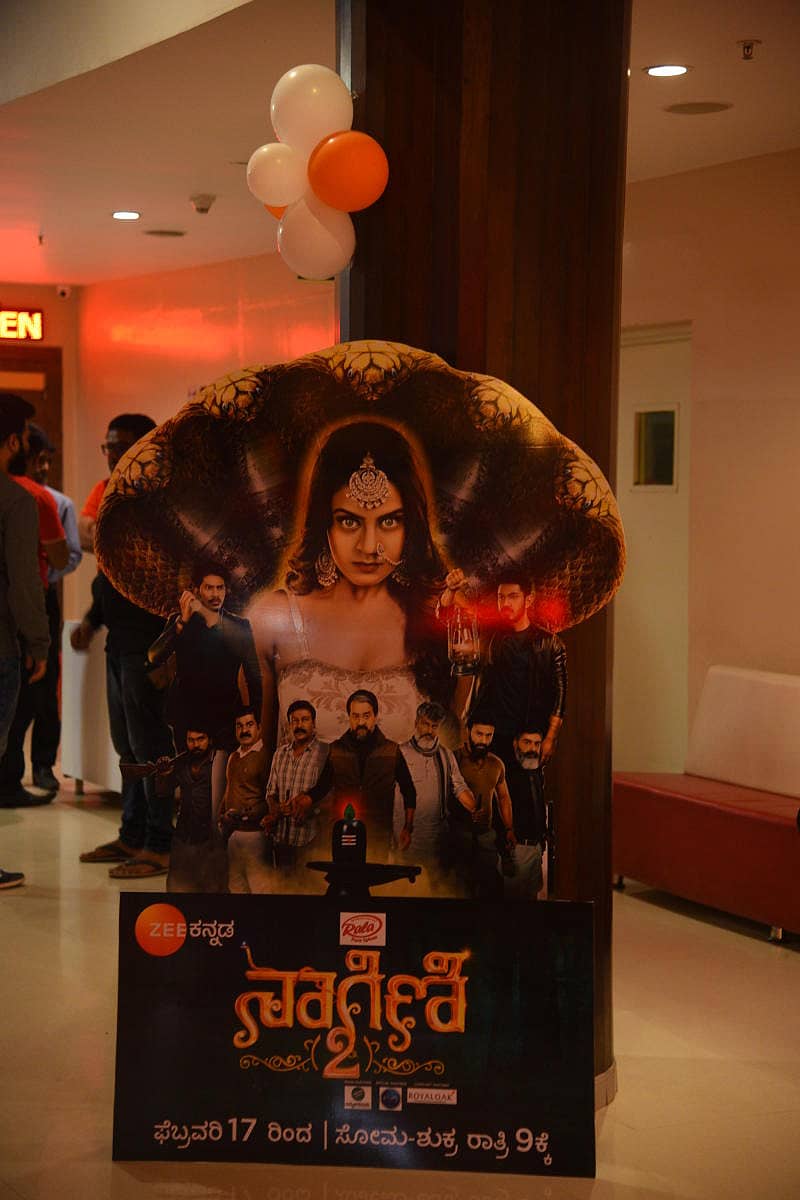 ನಾಗಿಣಿ 2 ಧಾರಾವಾಹಿಯ ಪೋಸ್ಟರ್‌