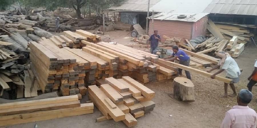 ಅಳತೆಗೆ ತಕ್ಕಂತೆ ತೇಗದ ದಿಮ್ಮಿಗಳನ್ನು ಕತ್ತರಿಸಿರುವುದು