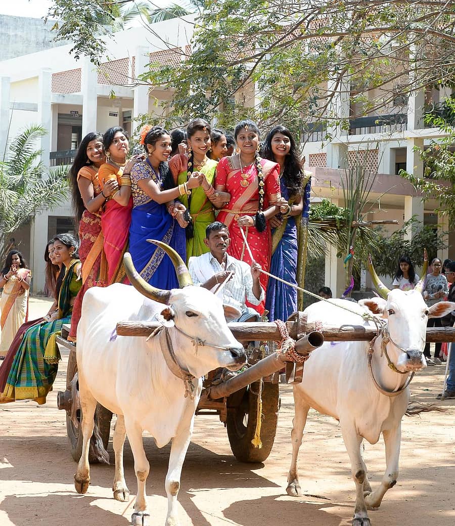ದಾವಣಗೆರೆಯ ಎವಿಕೆ ಕಾಲೇಜಿನಲ್ಲಿ ಸೋಮವಾರ ಆಯೋಜಿಸಿದ್ದ ಎಥ್ನಿಕ್ ಡೇ ಕಾರ್ಯಕ್ರಮದಲ್ಲಿ ವಿದ್ಯಾರ್ಥಿನಿಯರು ಚಕ್ಕಡಿ ಗಾಡಿಯಲ್ಲಿ ಸವಾರಿ ಮಾಡಿದರು –ಪ್ರಜಾವಾಣಿ ಚಿತ್ರ/ ಸತೀಶ ಬಡಿಗೇರ್