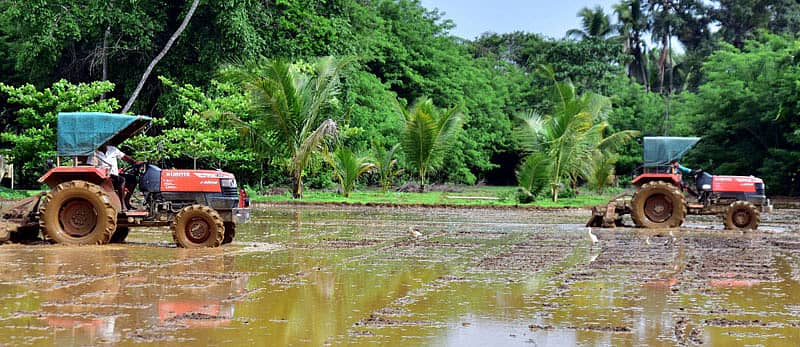 ರೈತರು (ಸಾಂದರ್ಭಿಕ ಚಿತ್ರ)