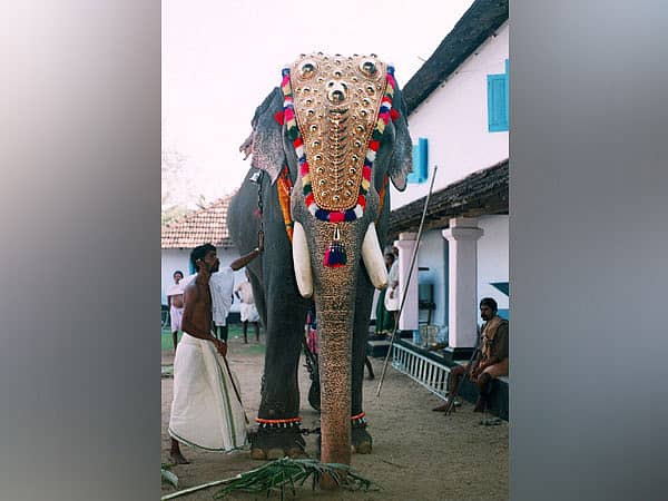 ಗುರುವಾಯೂರು ಪದ್ಮನಾಭನ್’