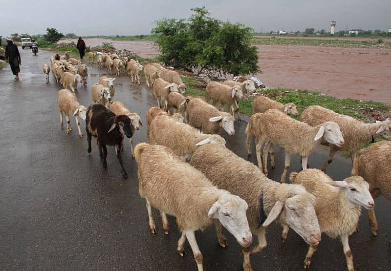ಸಾಂದರ್ಭಿಕ ಚಿತ್ರ