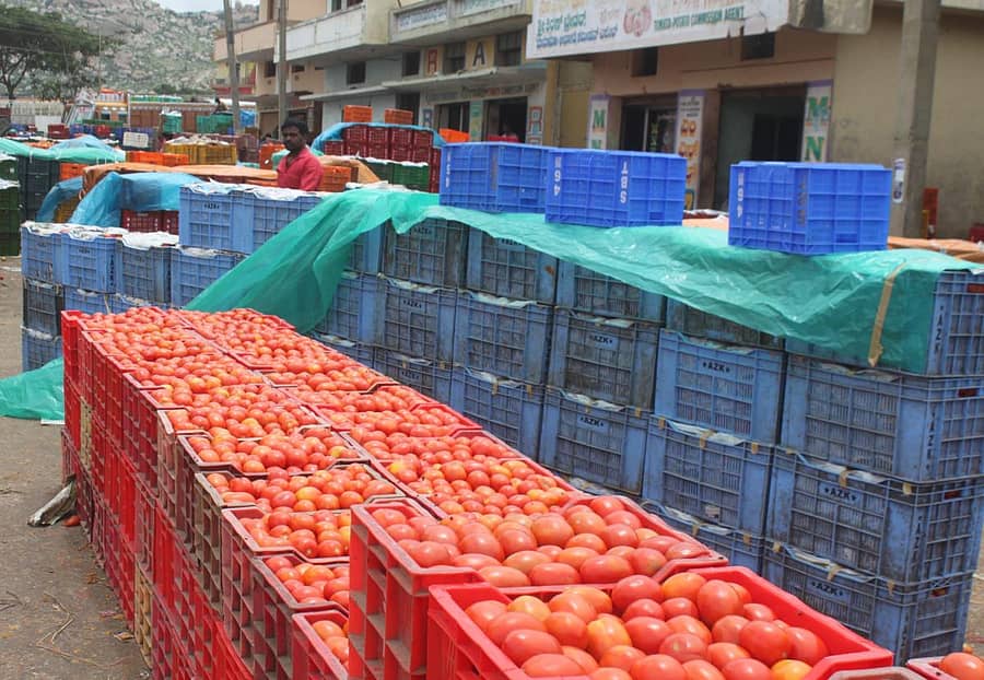ಕೋಲಾರ ಎಪಿಎಂಸಿಯಲ್ಲಿ ಟೊಮೆಟೊ ವಹಿವಾಟಿನ ನೋಟ.