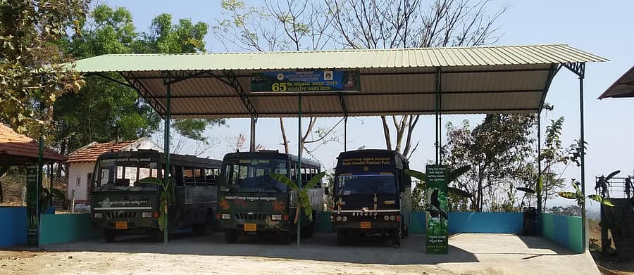 ಎಚ್.ಡಿ.ಕೋಟೆ ತಾಲ್ಲೂಕಿನ ಕಾಕನಕೋಟೆ ಸಫಾರಿ ಕೇಂದ್ರದ ಸಫಾರಿ ಹೋಗುವ ವಾಹನಗಳು