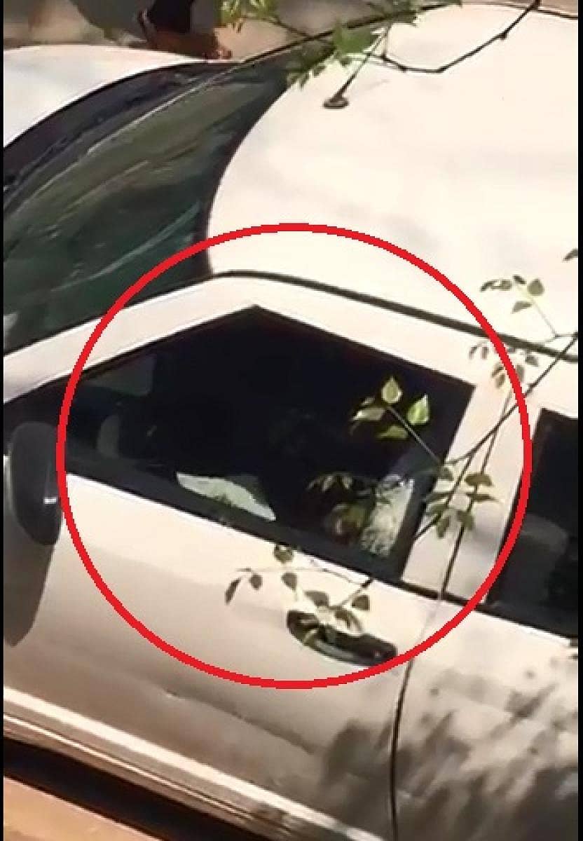 ಕಾರಿನಲ್ಲಿದ್ದ ಚಾಲಕ