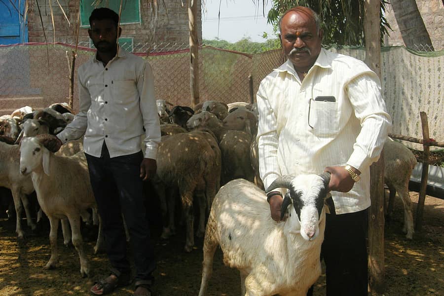 ಟಗರುಗಳೊಂದಿಗೆ ಅವರಾದಿಯ ಲಕ್ಷ್ಮಣ ದಳವಾಯಿ
