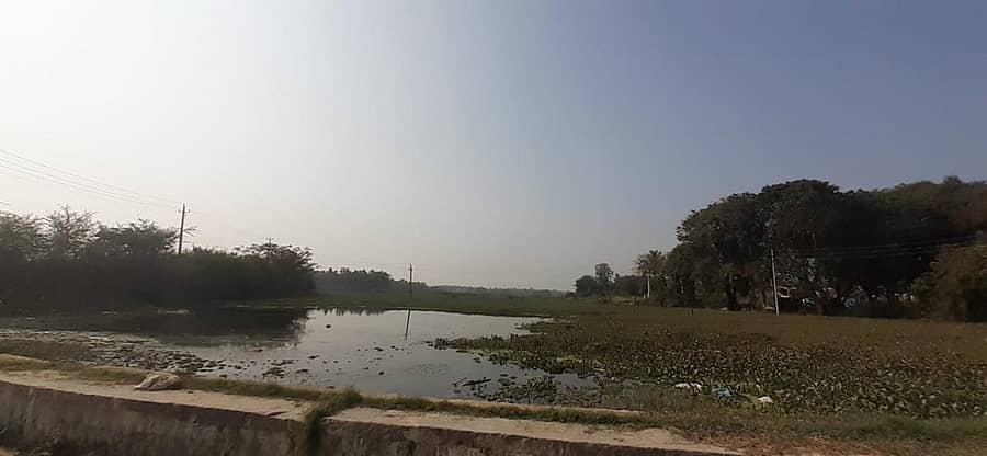 ಆನೇಕಲ್ ತಾಲ್ಲೂಕಿನ ಮುತ್ತಾನಲ್ಲೂರು ಅಮಾನಿ ಕೆರೆಯು ಕೈಗಾರಿಕೆಗಳ ತ್ಯಾಜ್ಯದಿಂದ ಕಲುಷಿತಗೊಂಡಿದೆ