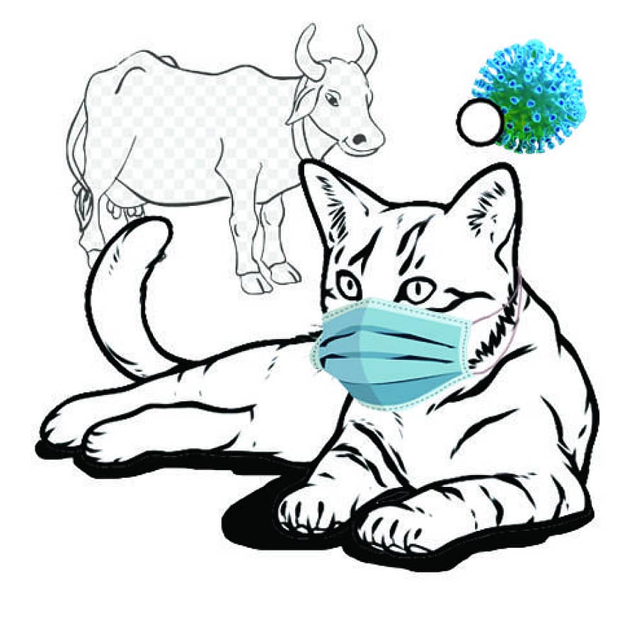 ಚುರುಮುರಿ