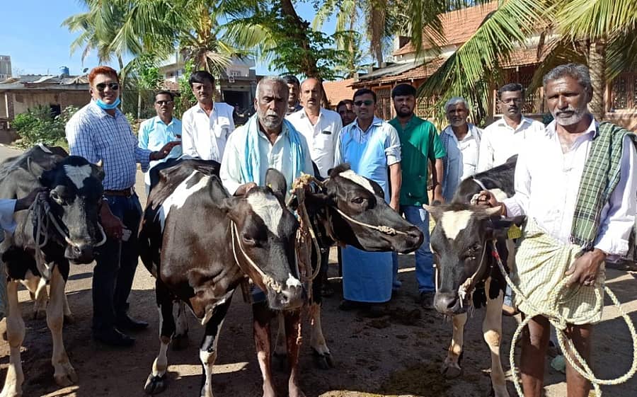 ಕವಣಾಪುರ ಗ್ರಾಮದಲ್ಲಿ ಹಾಲು ಉತ್ಪಾದಕರ ಸಂಘದ ವತಿಯಿಂದ ಬರಡು ರಾಸು ತಪಾಸಣಾ ಶಿಬಿರ ನಡೆಯಿತು