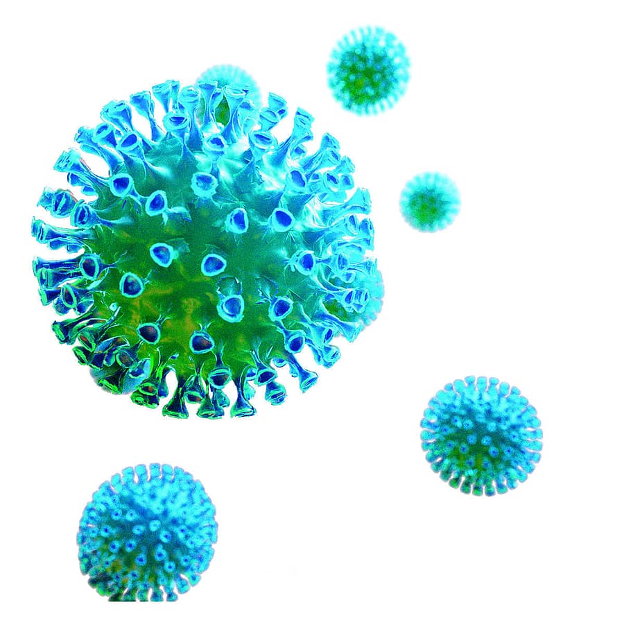 ಕೊರೊನಾ ವೈರಸ್