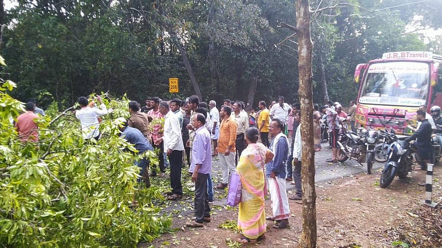 ಸಾಗರಕ್ಕೆ ಸಮೀಪದ ಬಳಸಗೋಡು-ಮಂಚಾಲೆ ಬಳಿ ಮಂಗಳವಾರ ಗಾಳಿ ಮಳೆಯ ಕಾರಣ ಮರದ ರೆಂಬೆ ಮುರಿದು ಬಿದ್ದ ಕಾರಣ ರಾಷ್ಟ್ರೀಯ ಹೆದ್ದಾರಿ 206ರಲ್ಲಿ ಕೆಲಕಾಲ ಸಂಚಾರ ಸ್ಥಗಿತವಾಗಿತ್ತು.