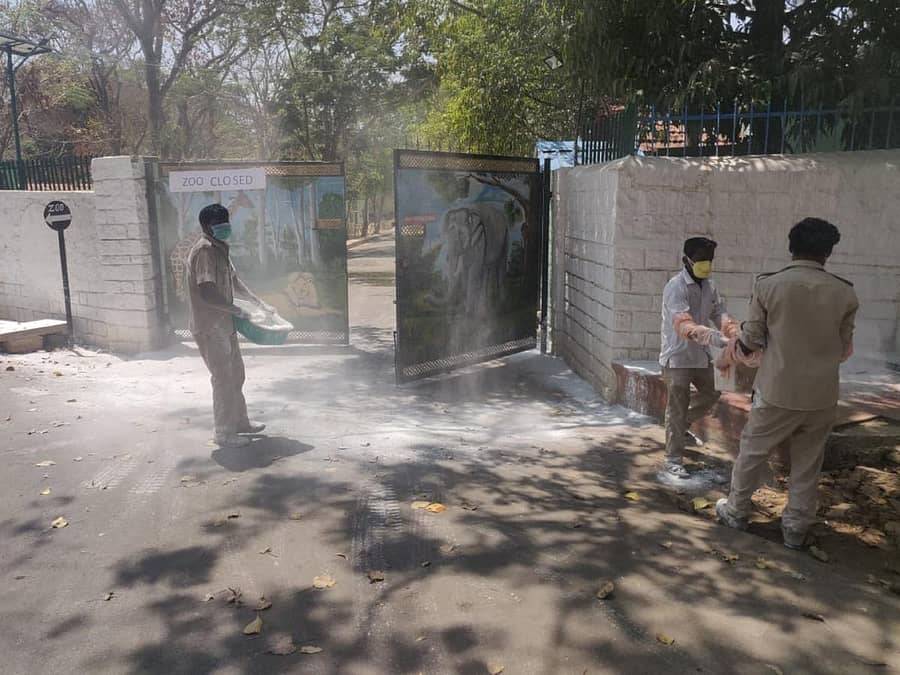 ಬನ್ನೇರುಘಟ್ಟ ಜೈವಿಕ ಉದ್ಯಾನದ ಸ್ವಚ್ಛತೆಯಲ್ಲಿ ತೊಡಗಿರುವ ಸಿಬ್ಬಂದಿ