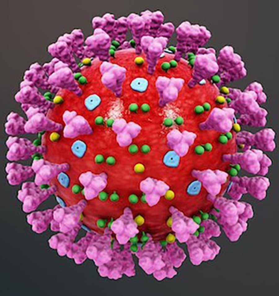 ಕೊರೊನಾವೈರಸ್